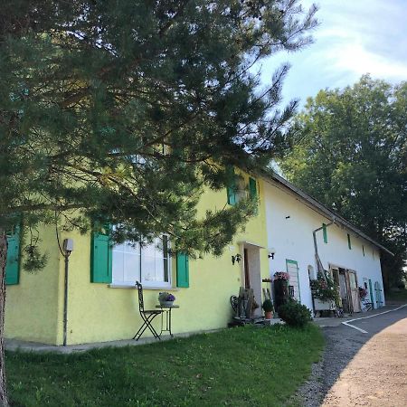 Weiher 1 Villa Rot an der Rot Esterno foto